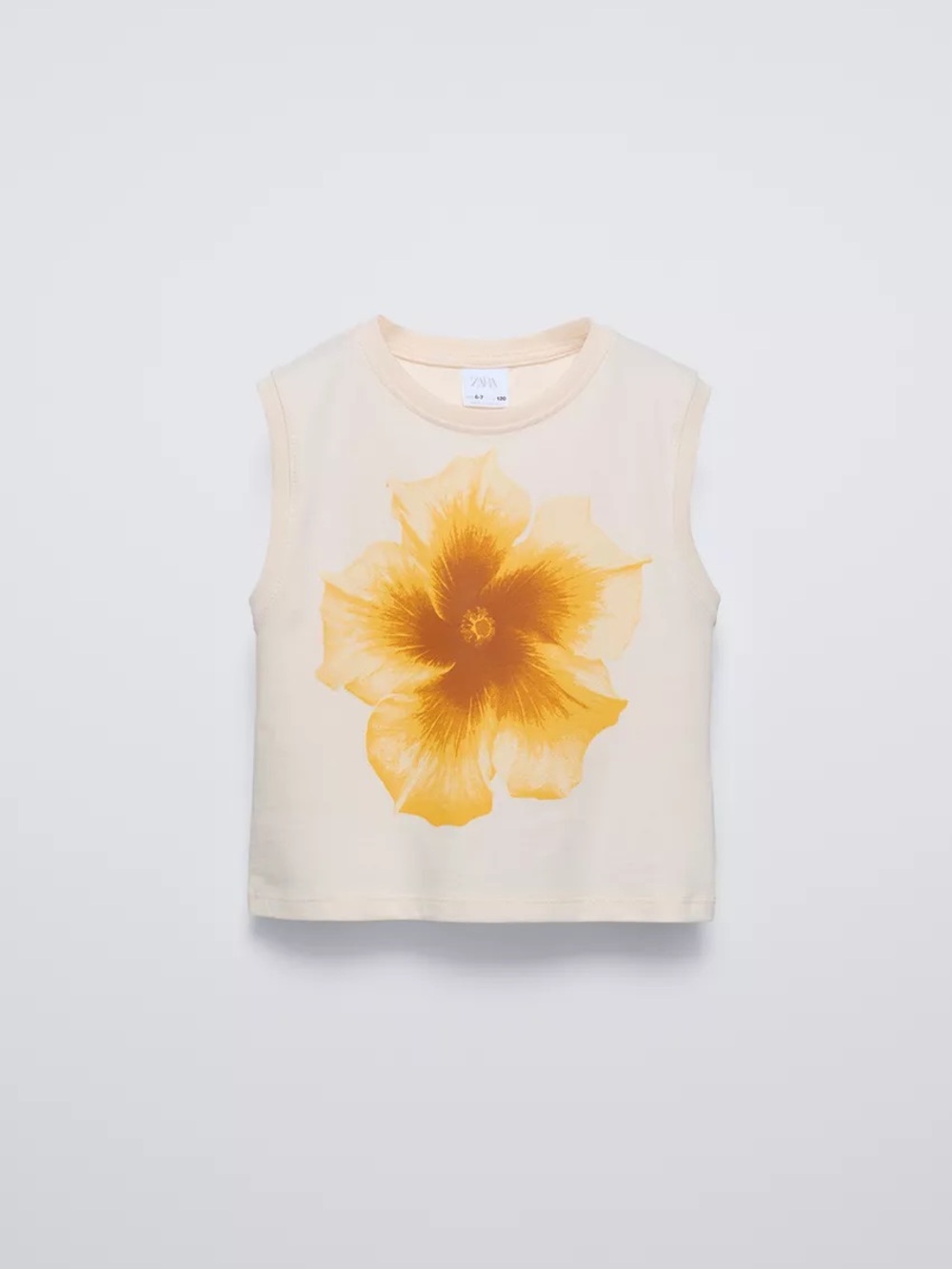 Zara Floral Graphic Sleeveless Crop Top
